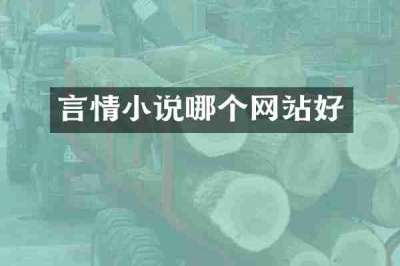 言情小说哪个网站好