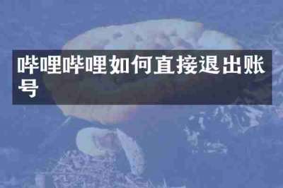 哔哩哔哩如何直接退出账号