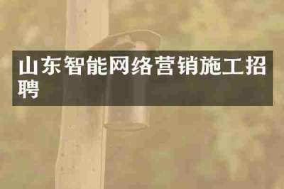 山东智能网络营销施工招聘