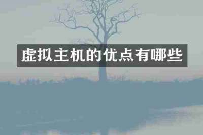 虚拟主机的优点有哪些