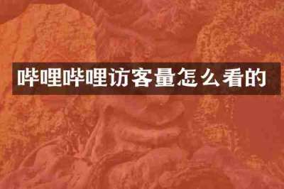 哔哩哔哩访客量怎么看的