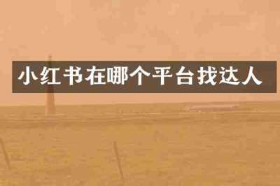小红书在哪个平台找达人