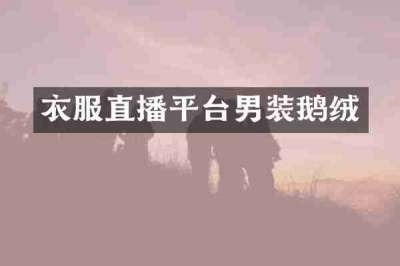 衣服直播平台男装鹅绒