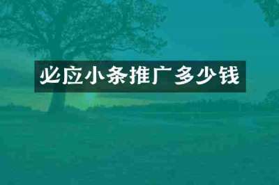 必应小条推广多少钱