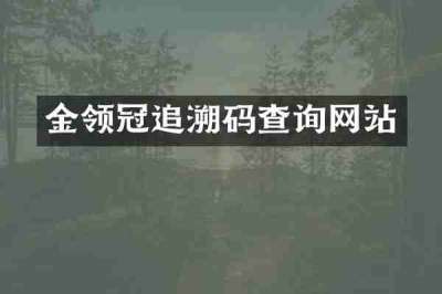 金领冠追溯码查询网站