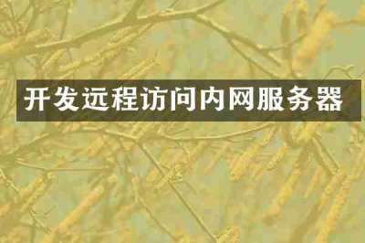 开发远程访问内网服务器