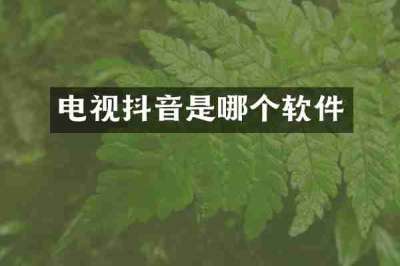 电视抖音是哪个软件