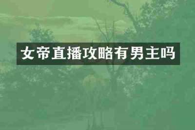 女帝直播攻略有男主吗