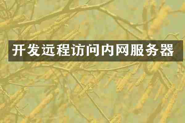 开发远程访问内网服务器