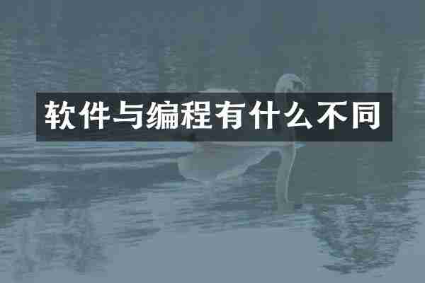 软件与编程有什么不同