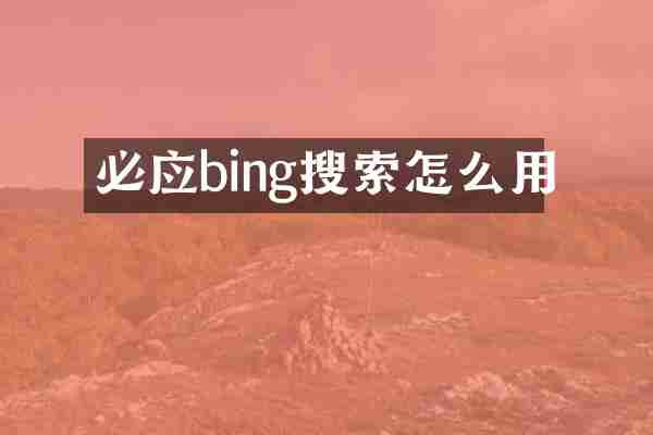 必应bing搜索怎么用