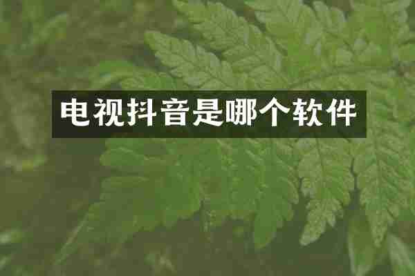 电视抖音是哪个软件