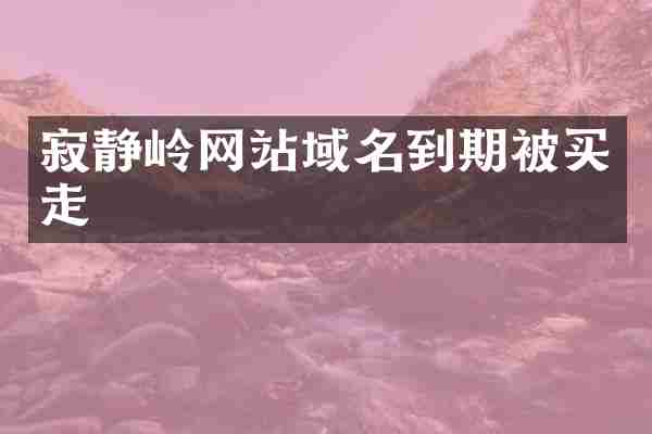 寂静岭网站域名到期被买走