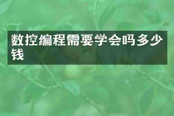 数控编程需要学会吗多少钱