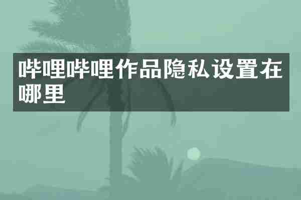 哔哩哔哩作品隐私设置在哪里