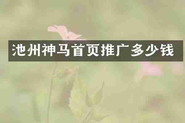 池州神马首页推广多少钱