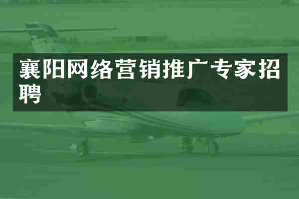 襄阳网络营销推广专家招聘