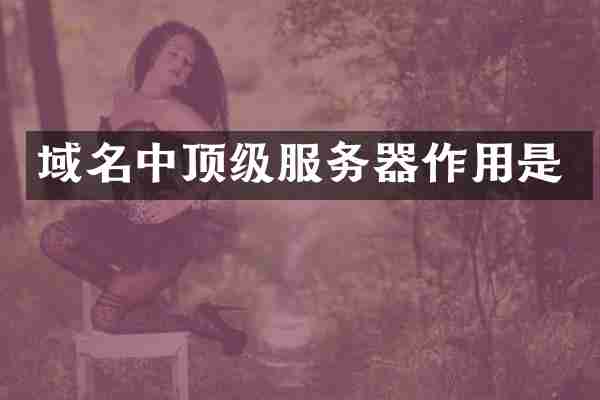 域名中顶级服务器作用是