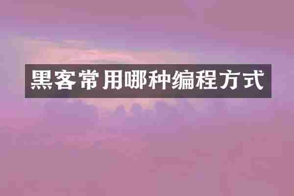 黑客常用哪种编程方式