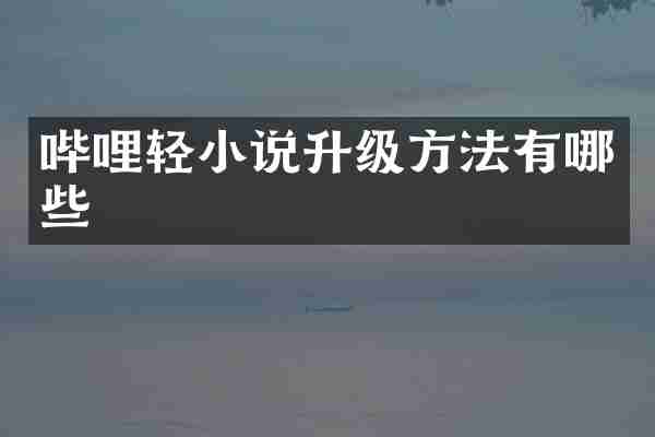 哔哩轻小说升级方法有哪些