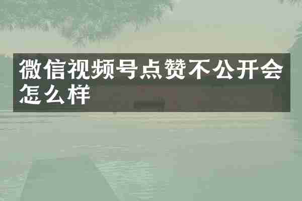 微信视频号点赞不公开会怎么样