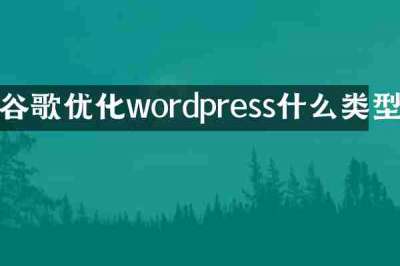 谷歌优化wordpress什么类型