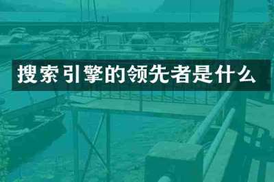 搜索引擎的领先者是什么