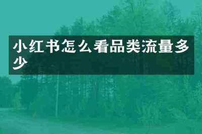 小红书怎么看品类流量多少