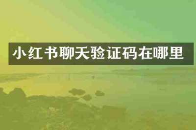 小红书聊天验证码在哪里