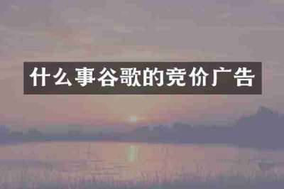 什么事谷歌的竞价广告