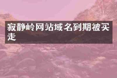 寂静岭网站域名到期被买走