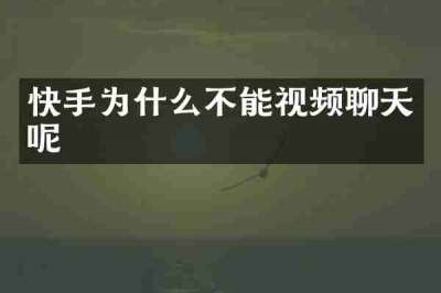 快手为什么不能视频聊天呢