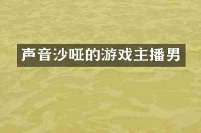 声音沙哑的游戏主播男