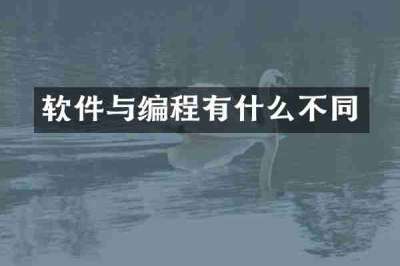 软件与编程有什么不同