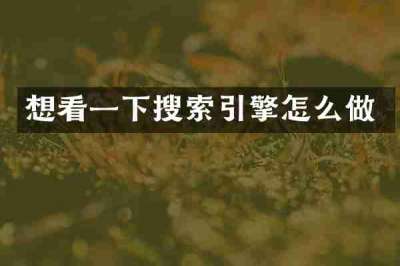 想看一下搜索引擎怎么做