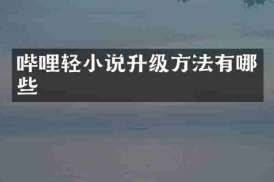 哔哩轻小说升级方法有哪些