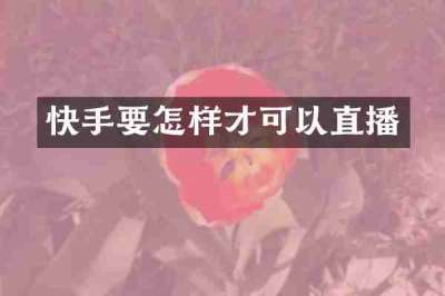 快手要怎样才可以直播