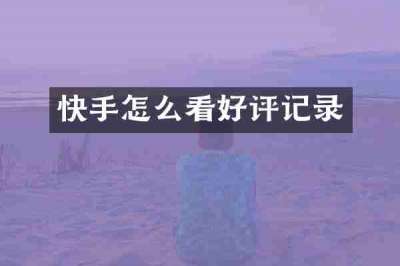 快手怎么看好评记录