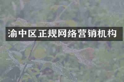 渝中区正规网络营销机构