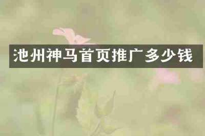 池州神马首页推广多少钱