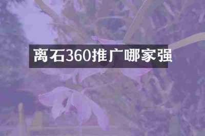 离石360推广哪家强