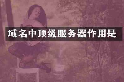 域名中顶级服务器作用是