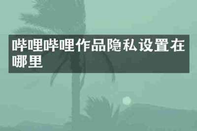 哔哩哔哩作品隐私设置在哪里