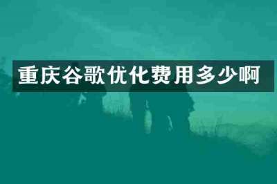 重庆谷歌优化费用多少啊