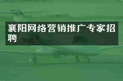襄阳网络营销推广专家招聘