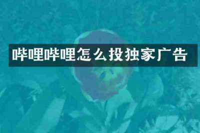 哔哩哔哩怎么投独家广告