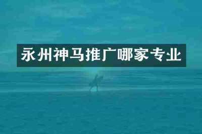 永州神马推广哪家专业