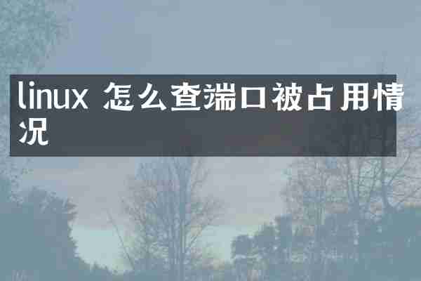 linux 怎么查端口被占用情况
