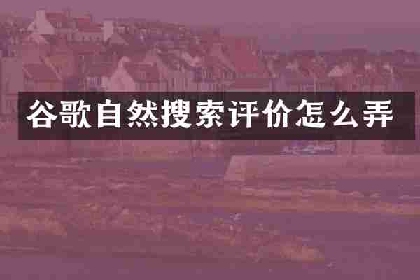 谷歌自然搜索评价怎么弄
