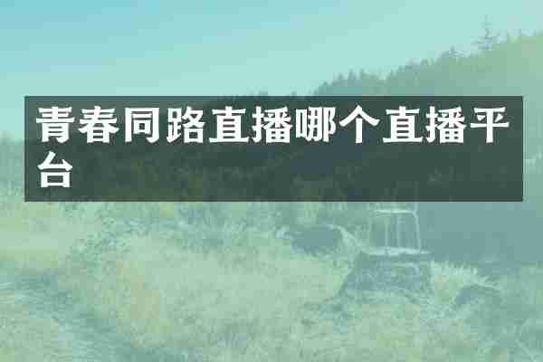 青春同路直播哪个直播平台